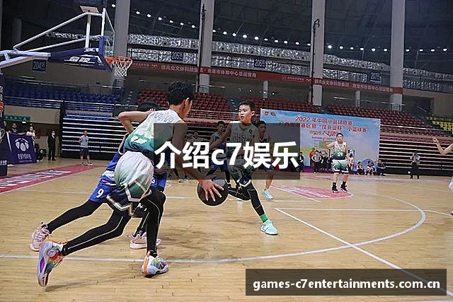 介绍c7娱乐